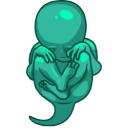 System Binary Proxy Execution: Rundll32 logo