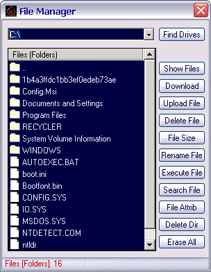 Beast 2.01: Client - File Manager