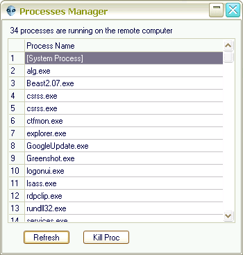 Beast 2.07: Features - Process Manager